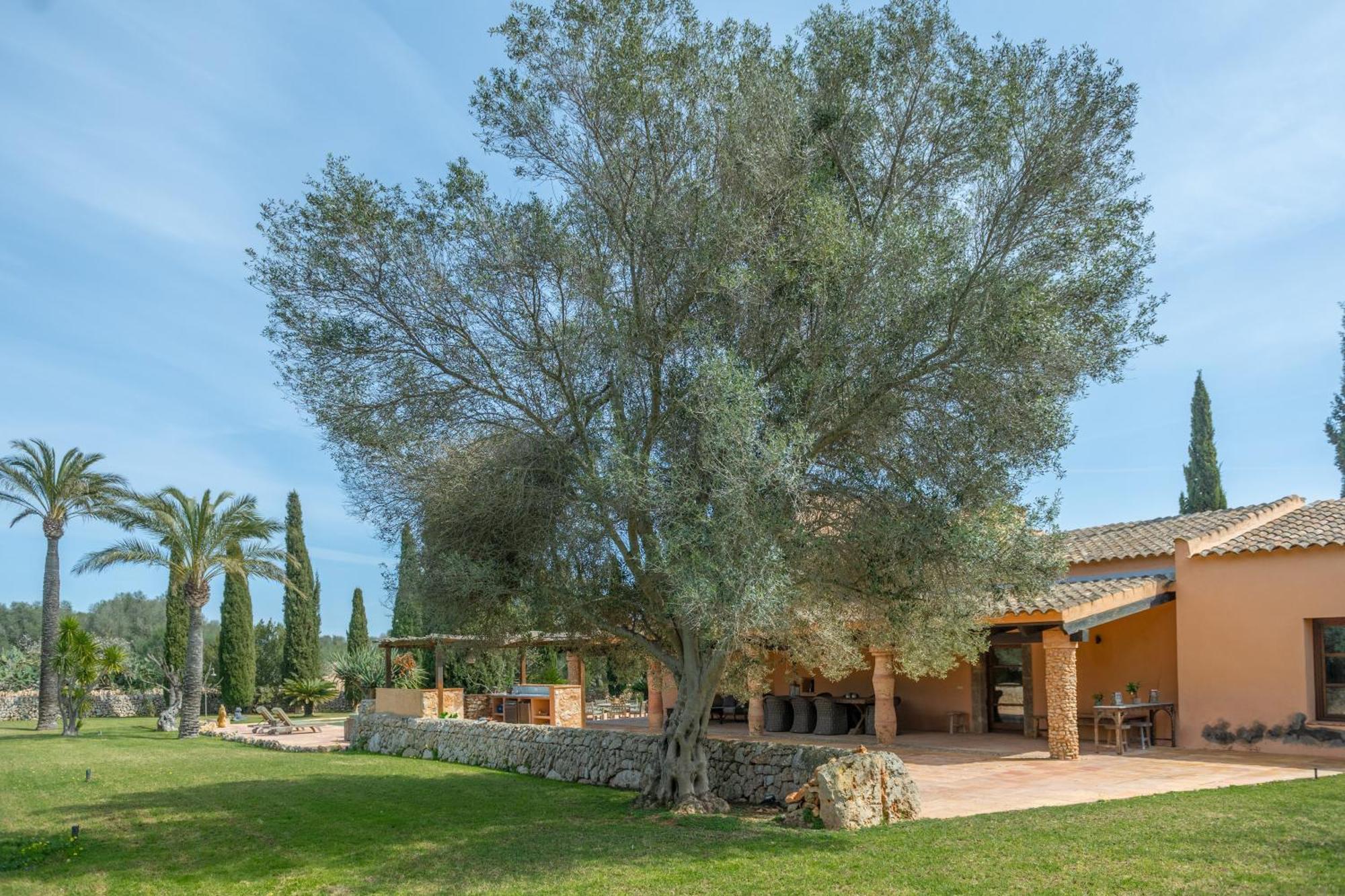 Finca Son Mut Llucmajor  Exterior foto
