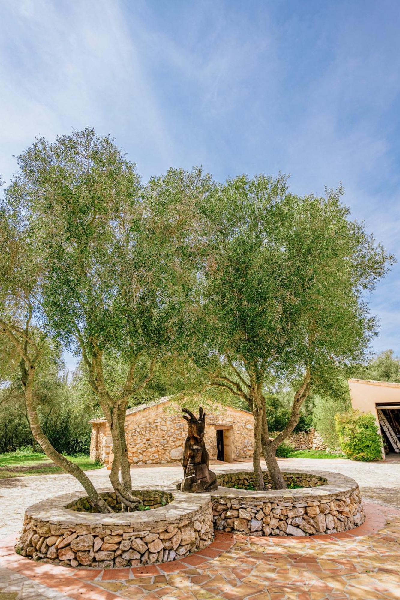 Finca Son Mut Llucmajor  Exterior foto